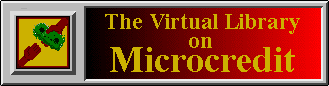 Virtual Library on Microcredit