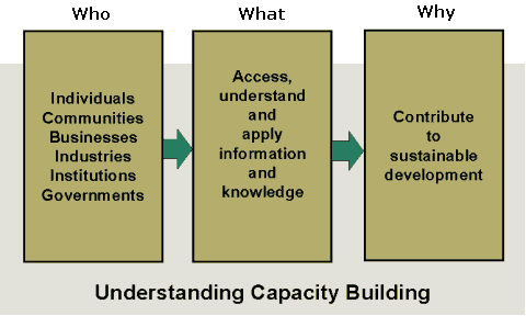 Figure 2: The who, what and why of capacity building