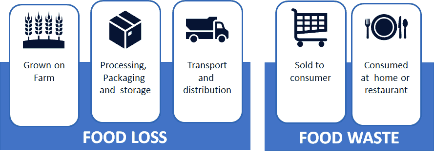 What Is The Difference Between Food Loss And Food Waste Population 