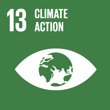 SDG#13